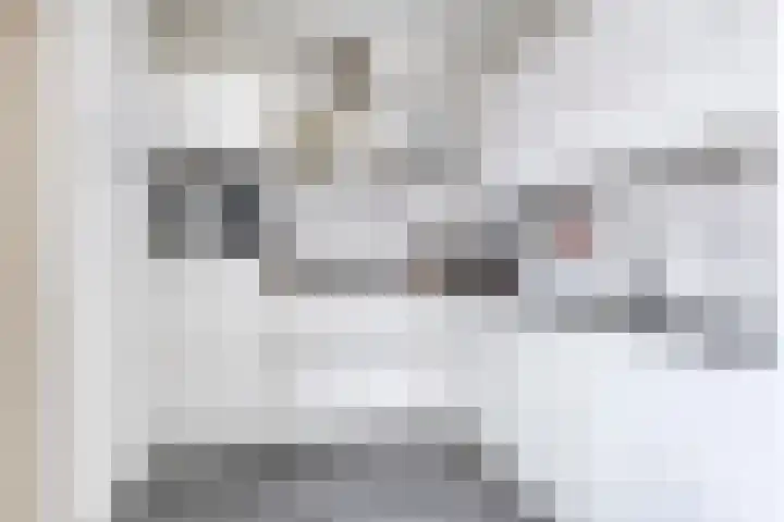 Weidemaad 23 Oosterwolde thumbnail 10