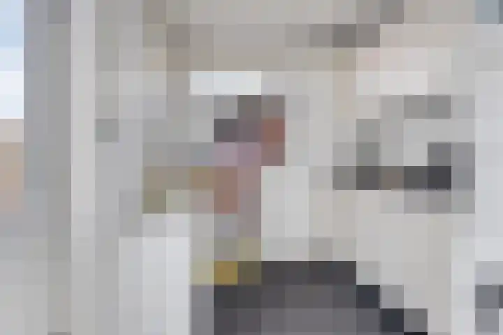 Weidemaad 23 Oosterwolde thumbnail 12