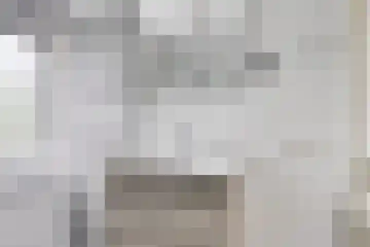 Weidemaad 23 Oosterwolde thumbnail 17