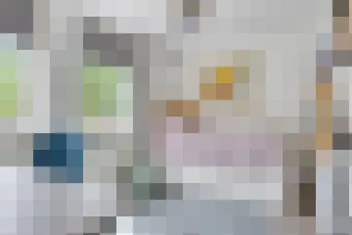 Weidemaad 23 Oosterwolde thumbnail 19