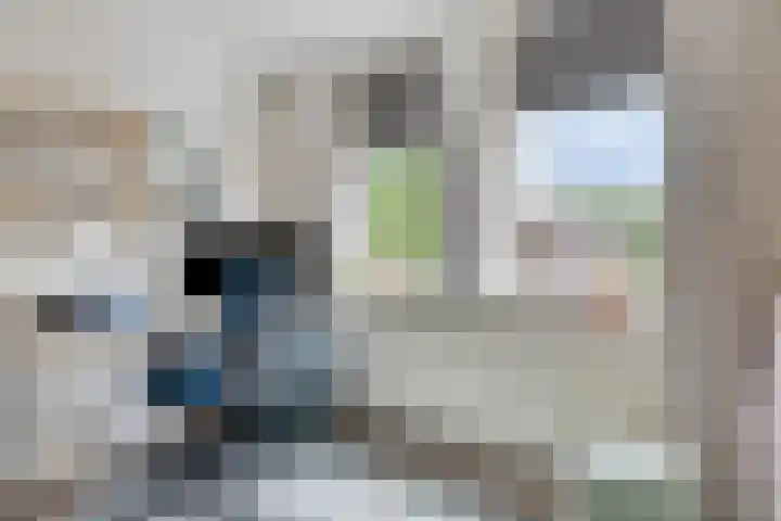 Weidemaad 23 Oosterwolde thumbnail 20