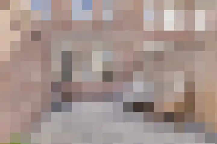 Weidemaad 23 Oosterwolde thumbnail 24