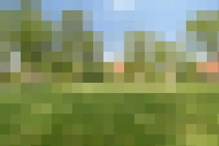 Weidemaad 23 Oosterwolde thumbnail 26