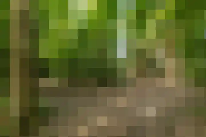 Weidemaad 23 Oosterwolde thumbnail 27