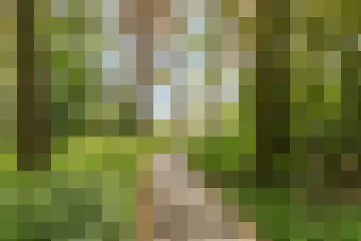 Weidemaad 23 Oosterwolde thumbnail 28