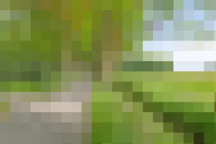 Weidemaad 23 Oosterwolde thumbnail 29