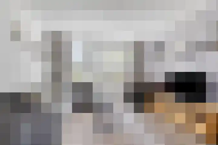 Weidemaad 23 Oosterwolde thumbnail 5