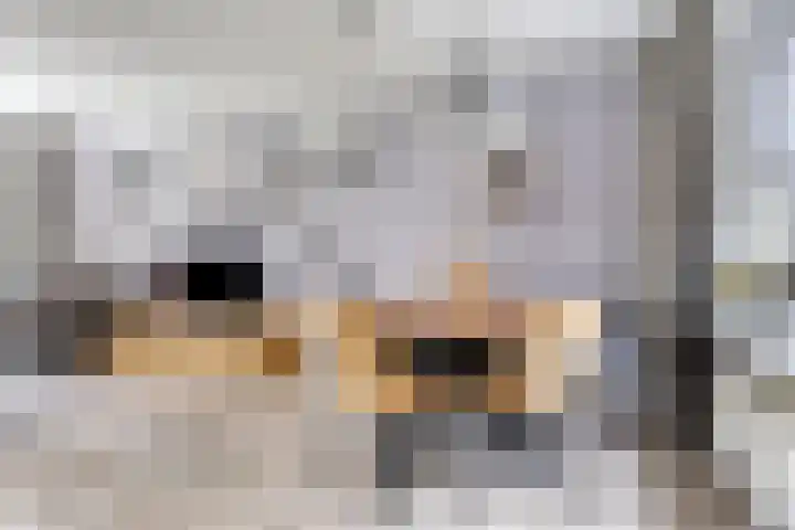 Weidemaad 23 Oosterwolde thumbnail 9
