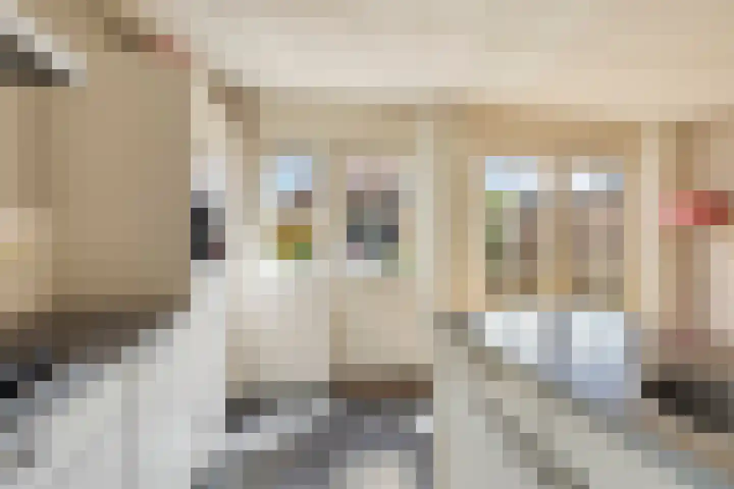 Weidemaad 53 Oosterwolde thumbnail 20