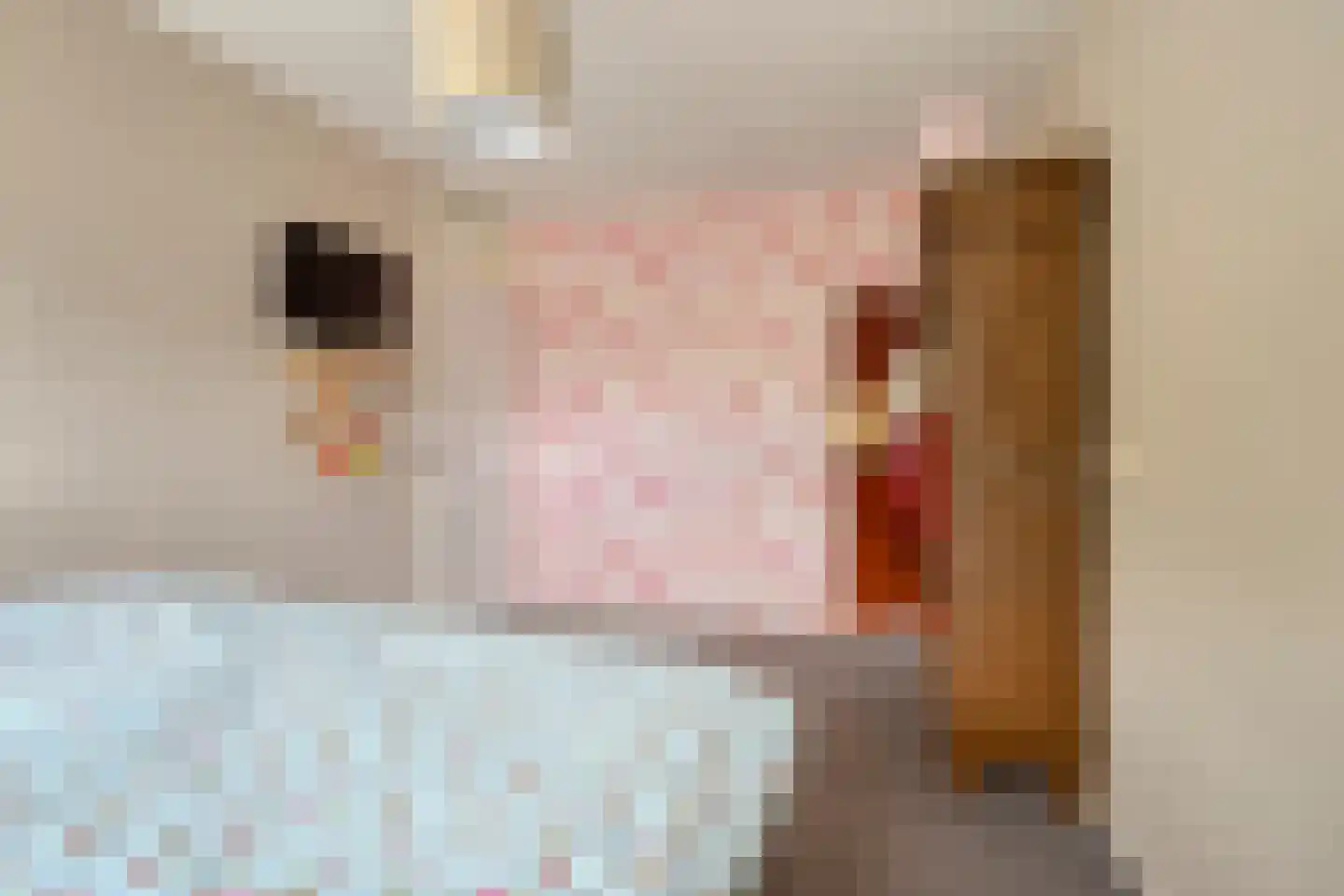 Weidemaad 53 Oosterwolde thumbnail 26