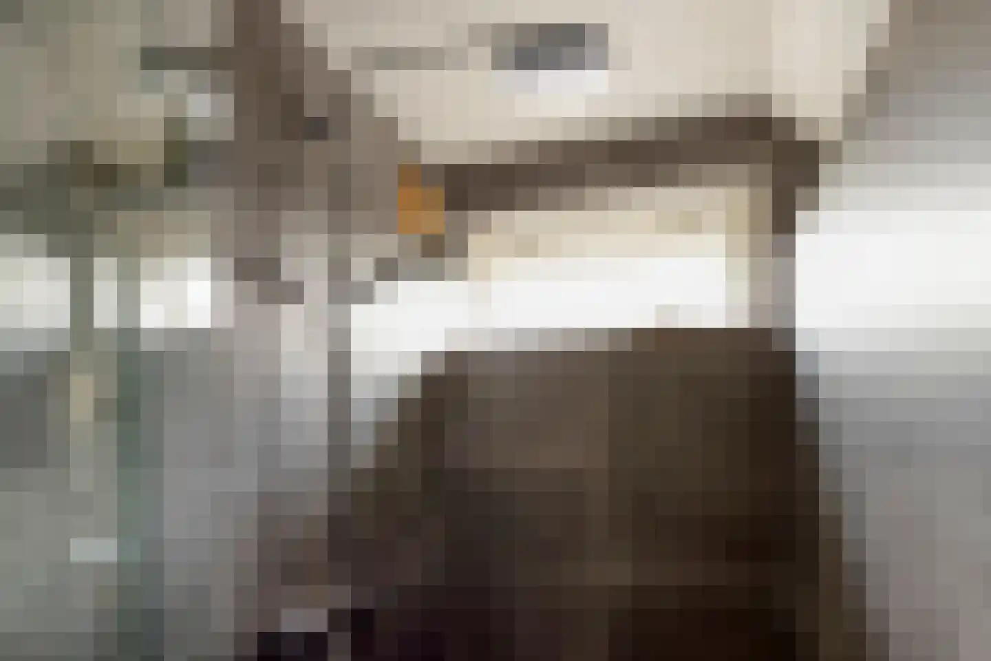 Weidemaad 53 Oosterwolde thumbnail 33
