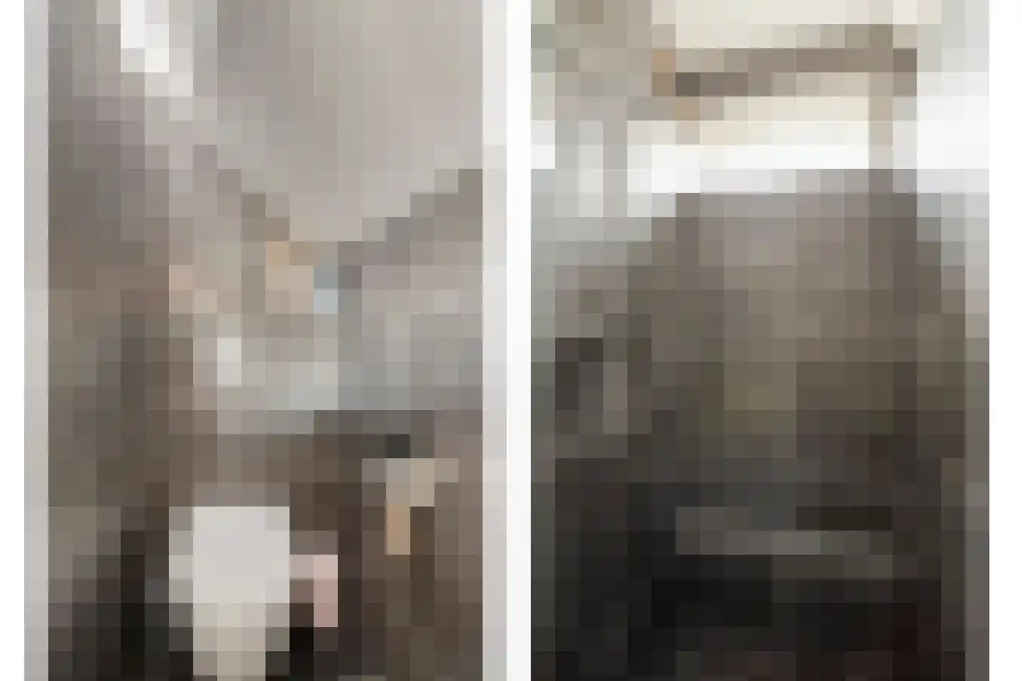Weidemaad 53 Oosterwolde thumbnail 34