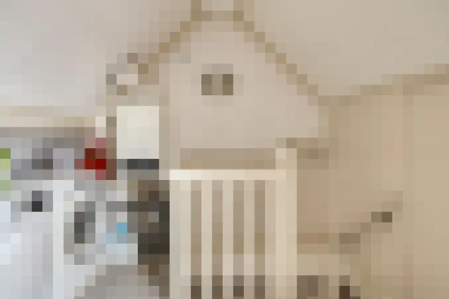 Weidemaad 53 Oosterwolde thumbnail 35