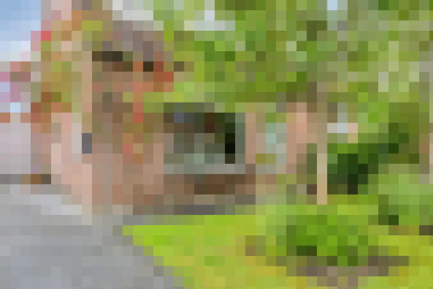 Weidemaad 53 Oosterwolde thumbnail 4
