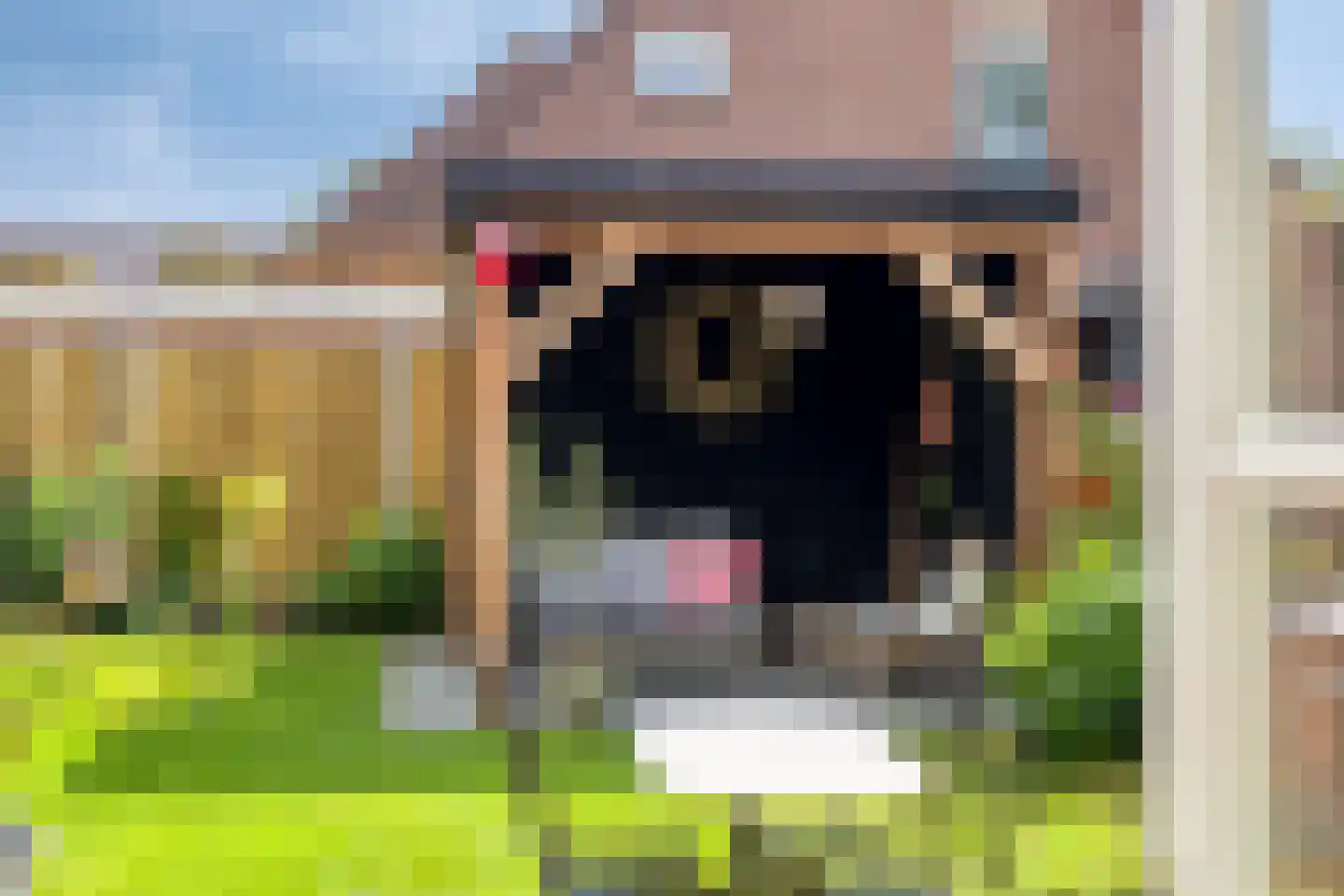 Weidemaad 53 Oosterwolde thumbnail 42