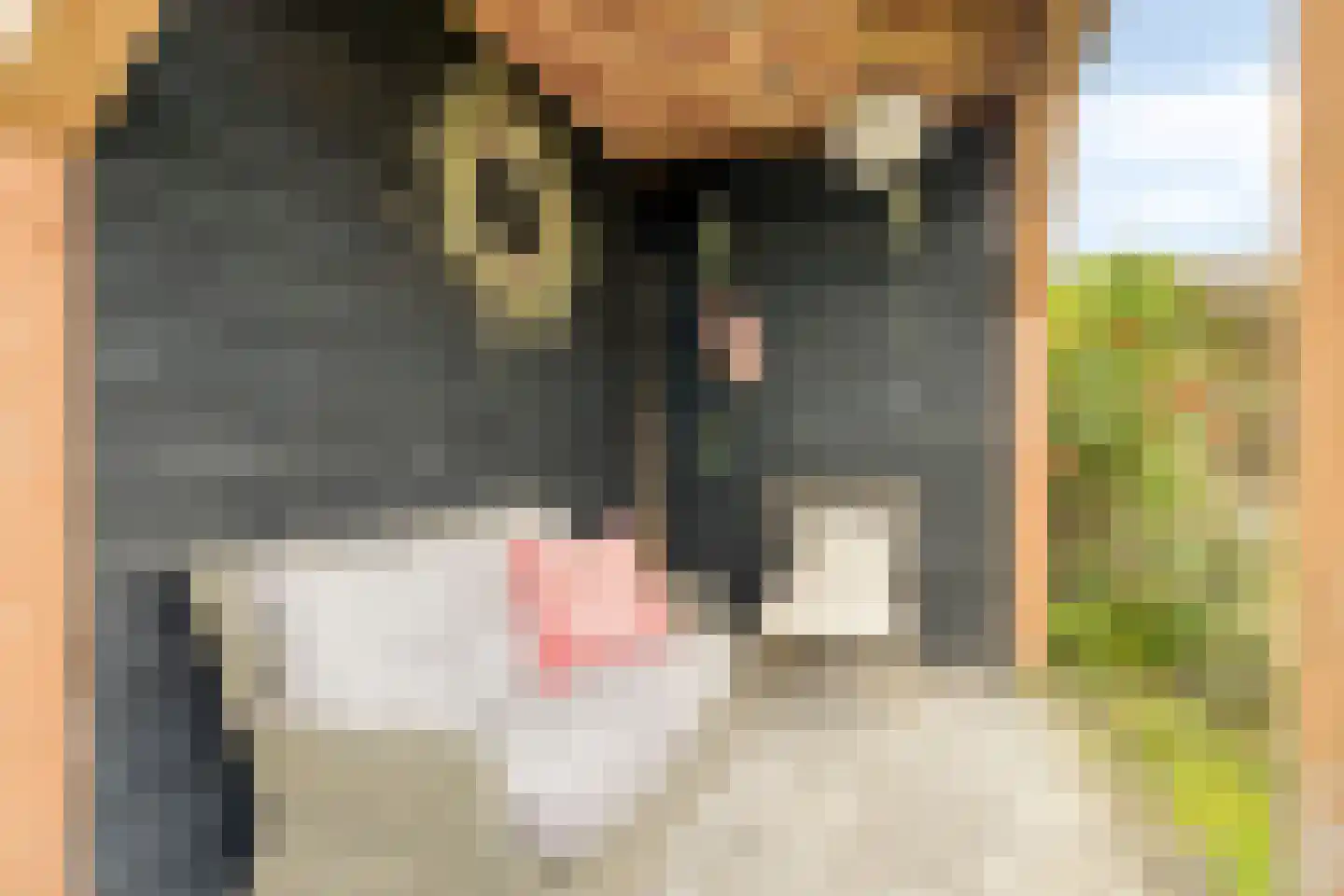 Weidemaad 53 Oosterwolde thumbnail 43