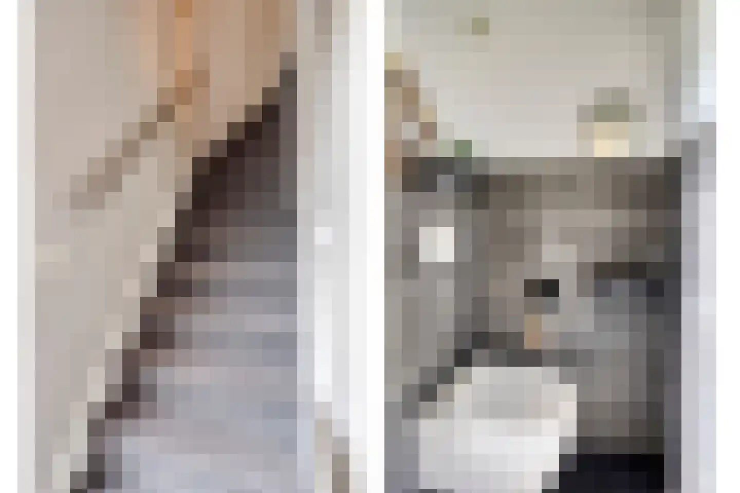 Weidemaad 53 Oosterwolde thumbnail 6