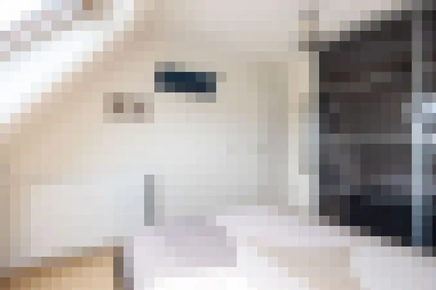 Weidemaad 69 Oosterwolde thumbnail 36