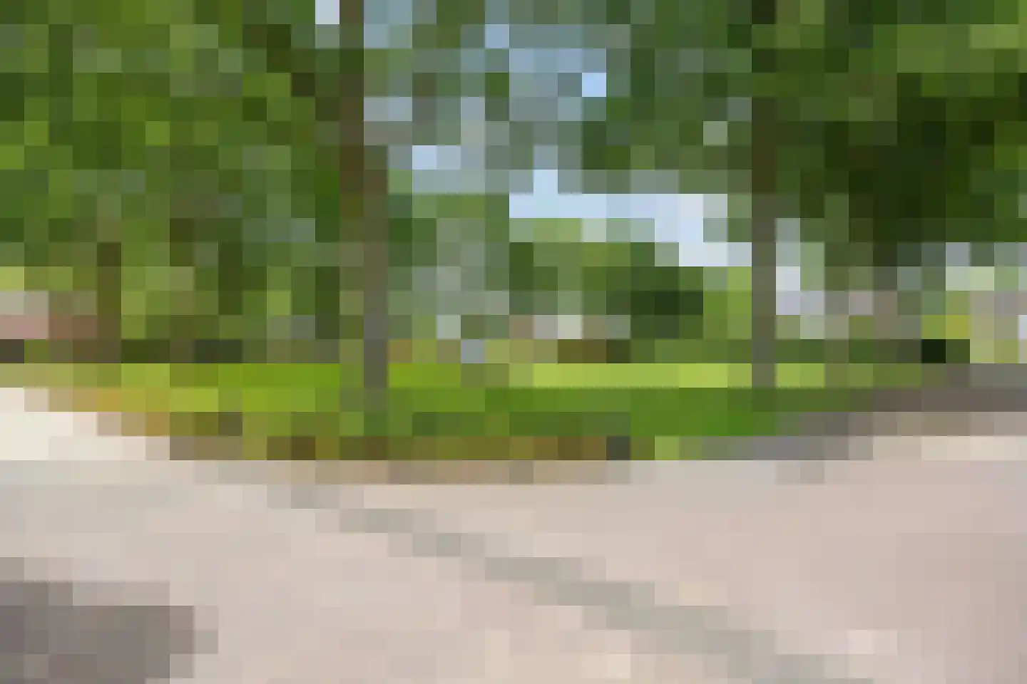 Weidemaad 69 Oosterwolde thumbnail 50
