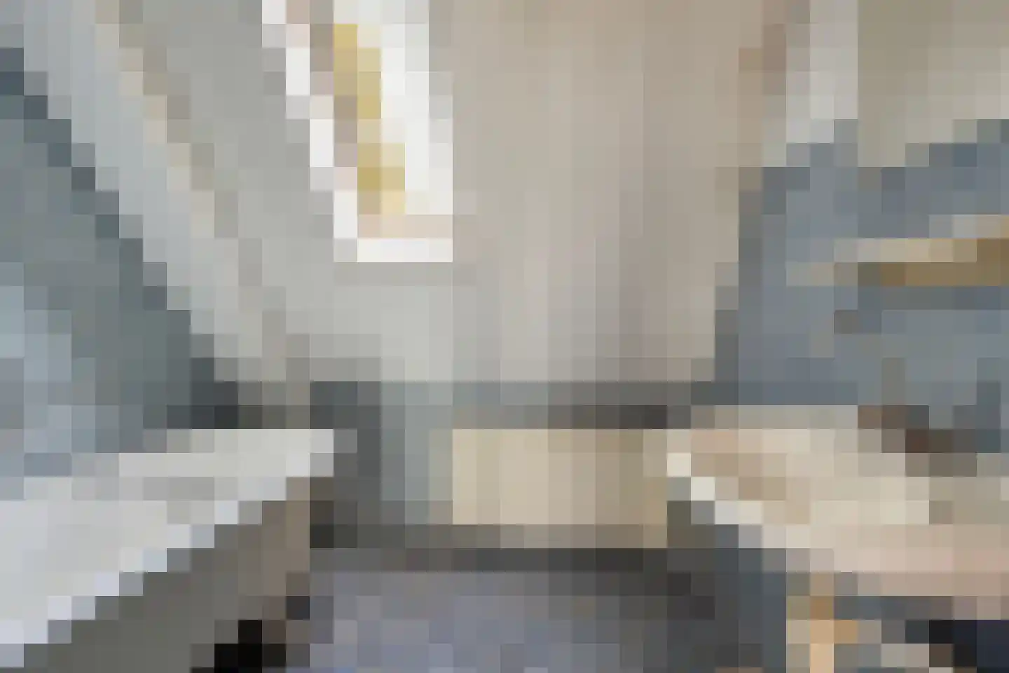 Weidemaad 84 Oosterwolde thumbnail 16