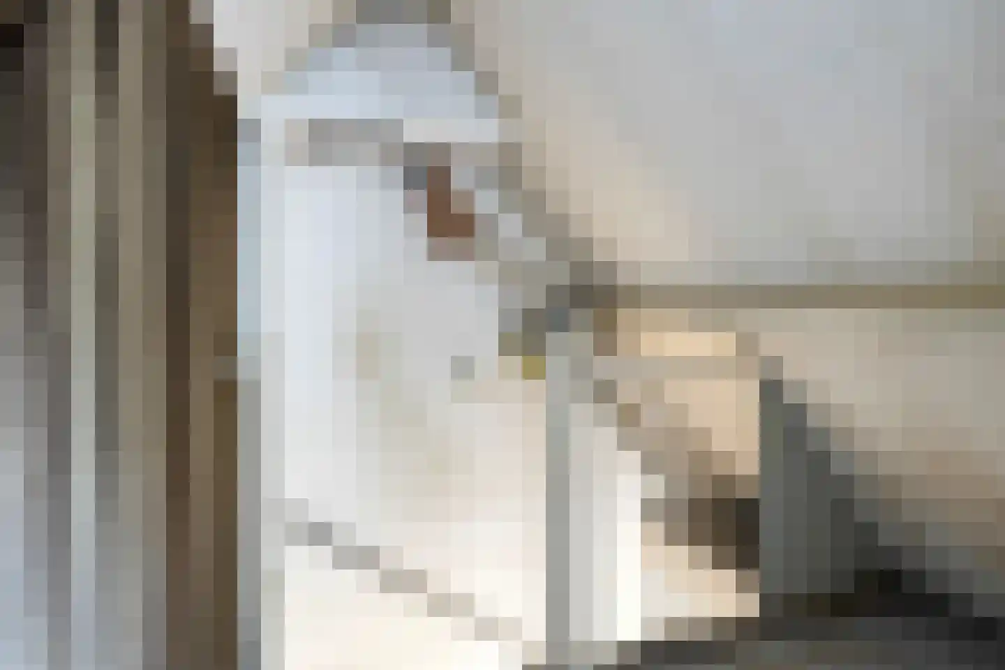 Weidemaad 84 Oosterwolde thumbnail 22