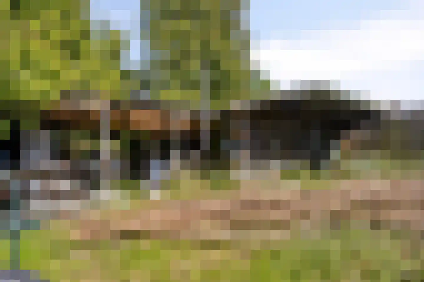Weidemaad 84 Oosterwolde thumbnail 24