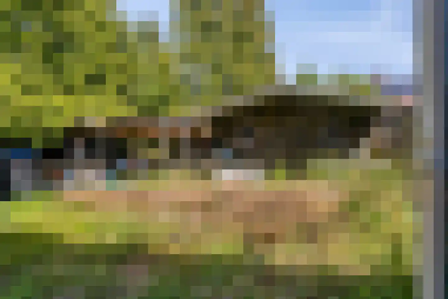 Weidemaad 84 Oosterwolde thumbnail 26
