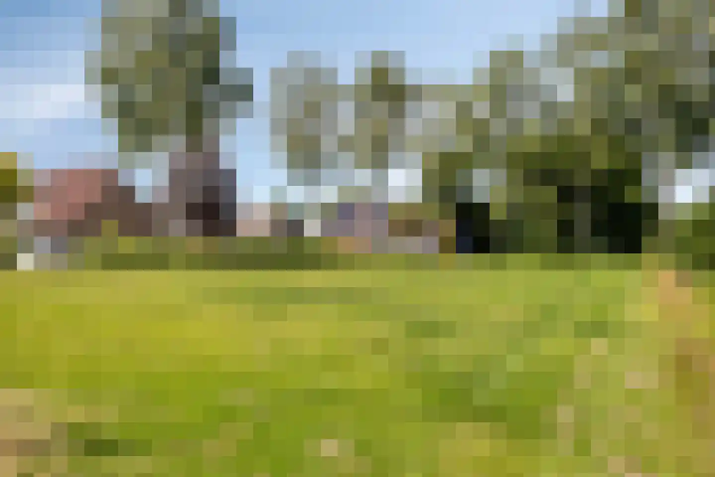 Weidemaad 84 Oosterwolde thumbnail 27