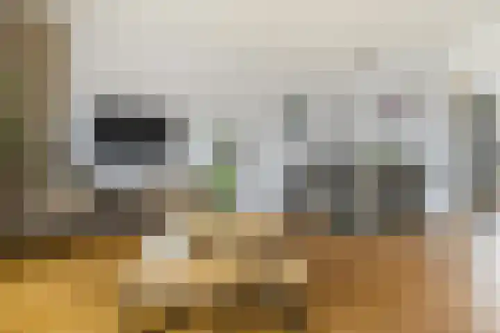 Weidemaad 98 Oosterwolde thumbnail 17