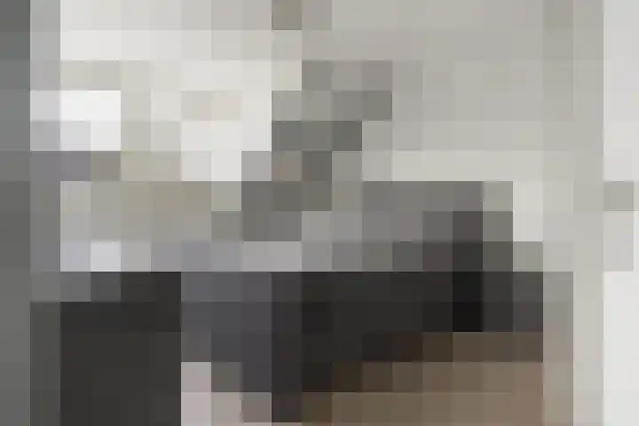 Weidemaad 98 Oosterwolde thumbnail 18