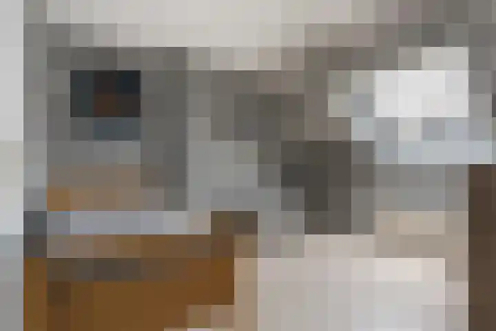 Weidemaad 98 Oosterwolde thumbnail 21