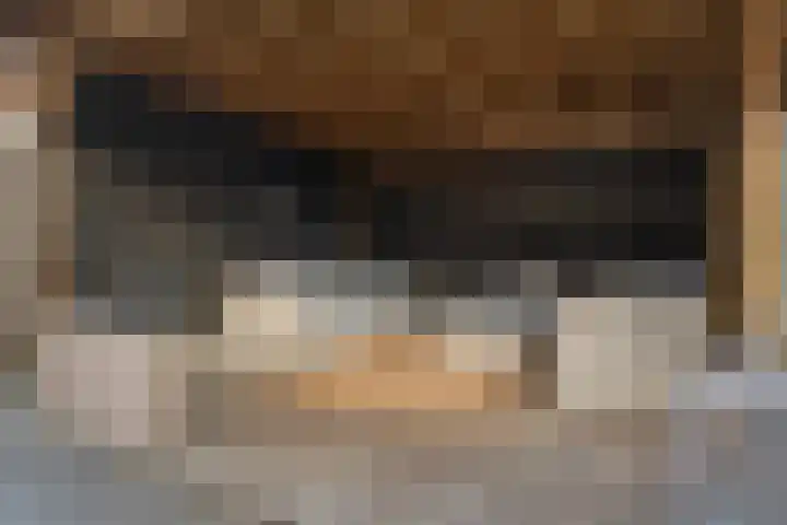 Weidemaad 98 Oosterwolde thumbnail 28