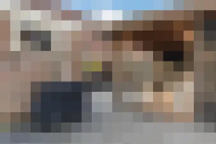 Weidemaad 98 Oosterwolde thumbnail 30