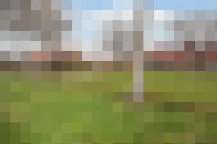 Weidemaad 98 Oosterwolde thumbnail 35