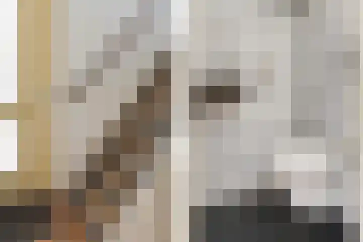 Weidemaad 98 Oosterwolde thumbnail 7