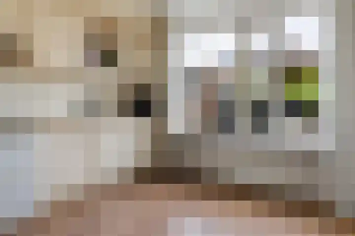Weidemaad 98 Oosterwolde thumbnail 8
