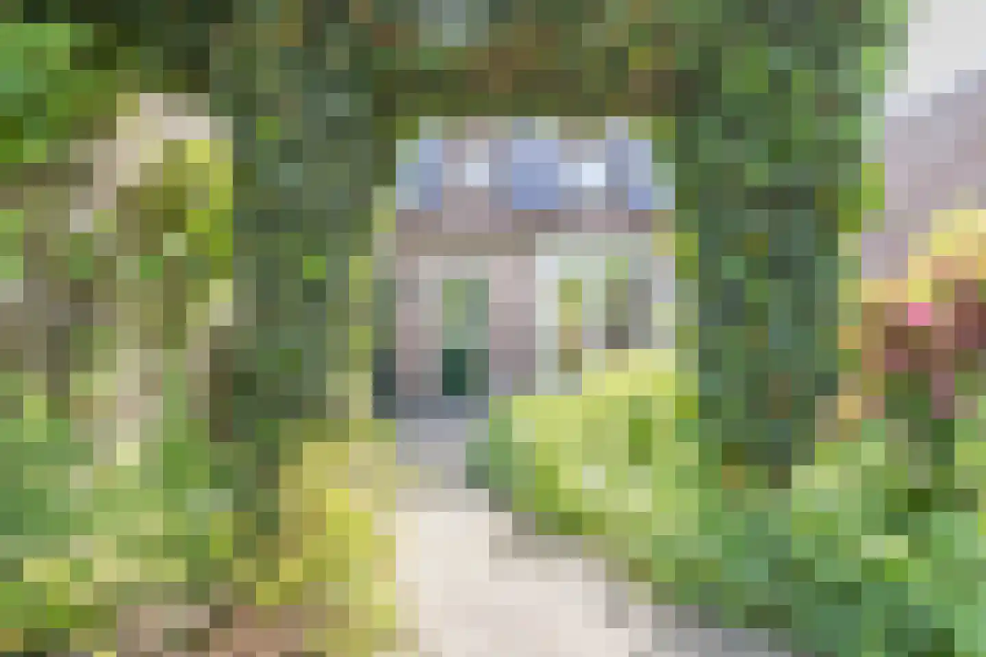 Weidemaat 3 Meppel thumbnail 40