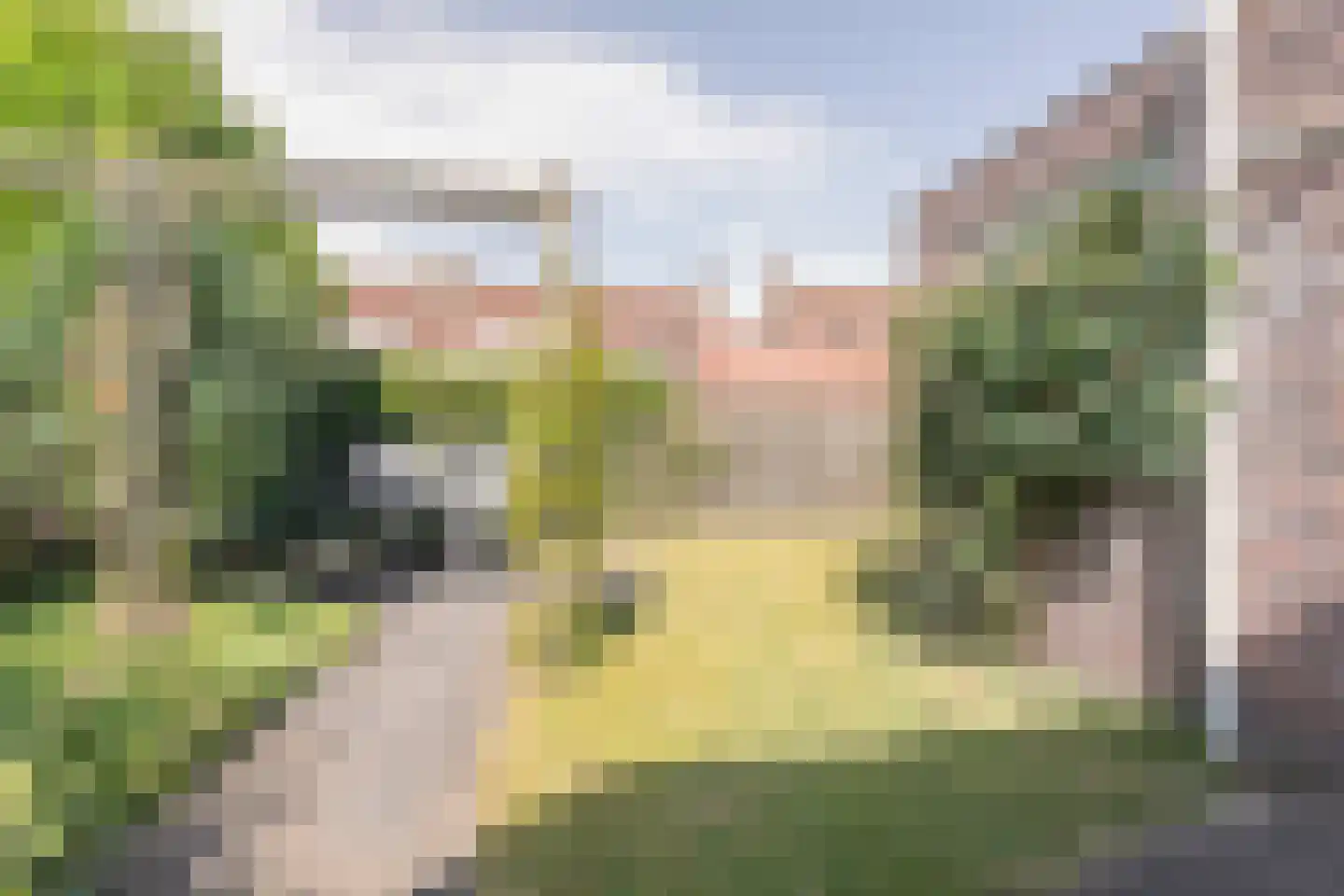 Weidemaat 3 Meppel thumbnail 43