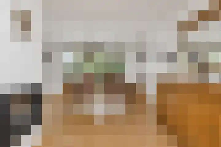 Weidemolen 12 Nieuwe Niedorp thumbnail 10