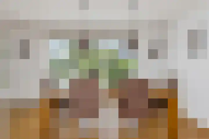 Weidemolen 12 Nieuwe Niedorp thumbnail 11