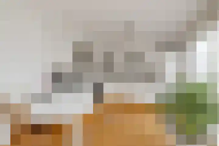 Weidemolen 12 Nieuwe Niedorp thumbnail 13