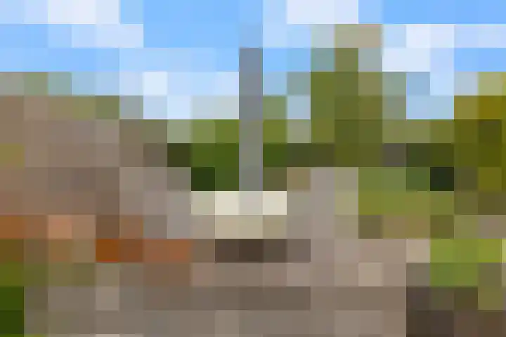 Weidemolen 12 Nieuwe Niedorp thumbnail 31