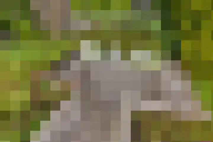 Weidemolen 12 Nieuwe Niedorp thumbnail 32