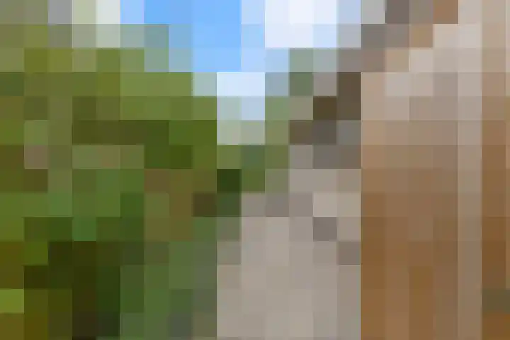 Weidemolen 12 Nieuwe Niedorp thumbnail 36