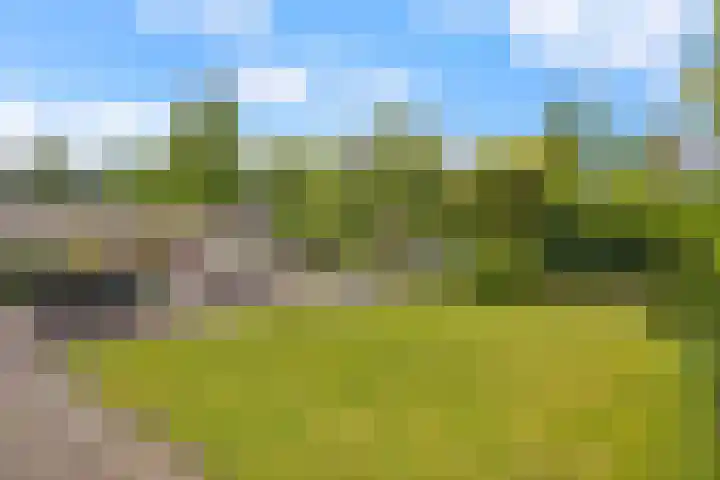 Weidemolen 12 Nieuwe Niedorp thumbnail 37