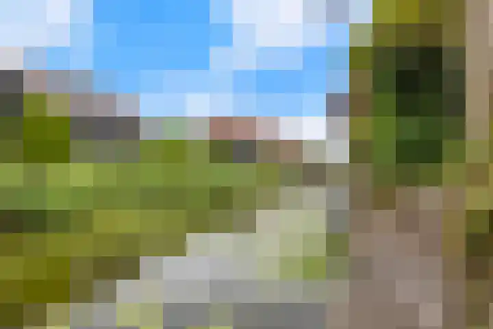 Weidemolen 12 Nieuwe Niedorp thumbnail 38