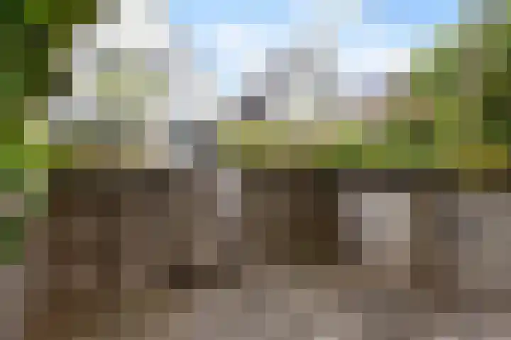 Weidemolen 12 Nieuwe Niedorp thumbnail 39