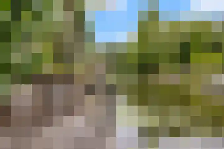 Weidemolen 12 Nieuwe Niedorp thumbnail 4