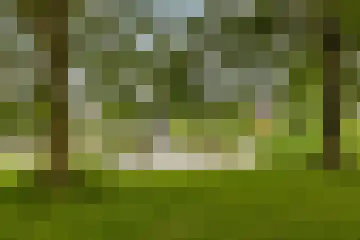 Weidemolen 12 Nieuwe Niedorp thumbnail 40