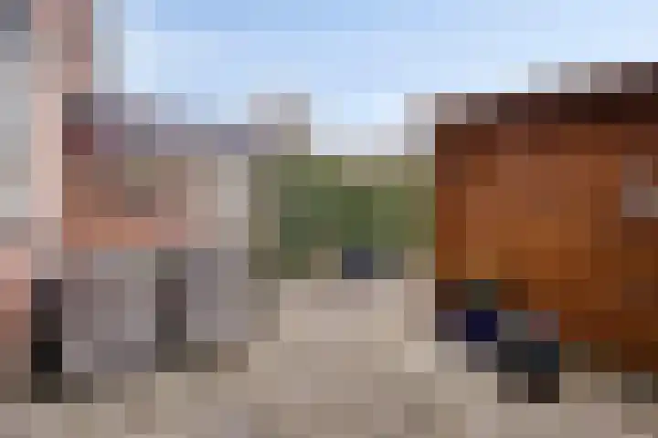 Weidemolen 13 Edam thumbnail 31